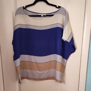 Striped Blue and Tan Women's Top